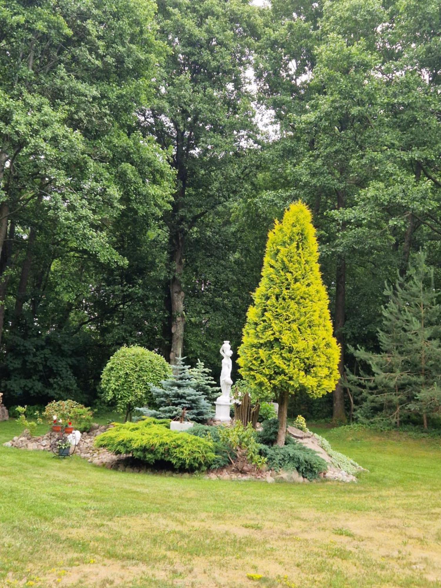 Villa Rasos Kiemelis Palanga Esterno foto